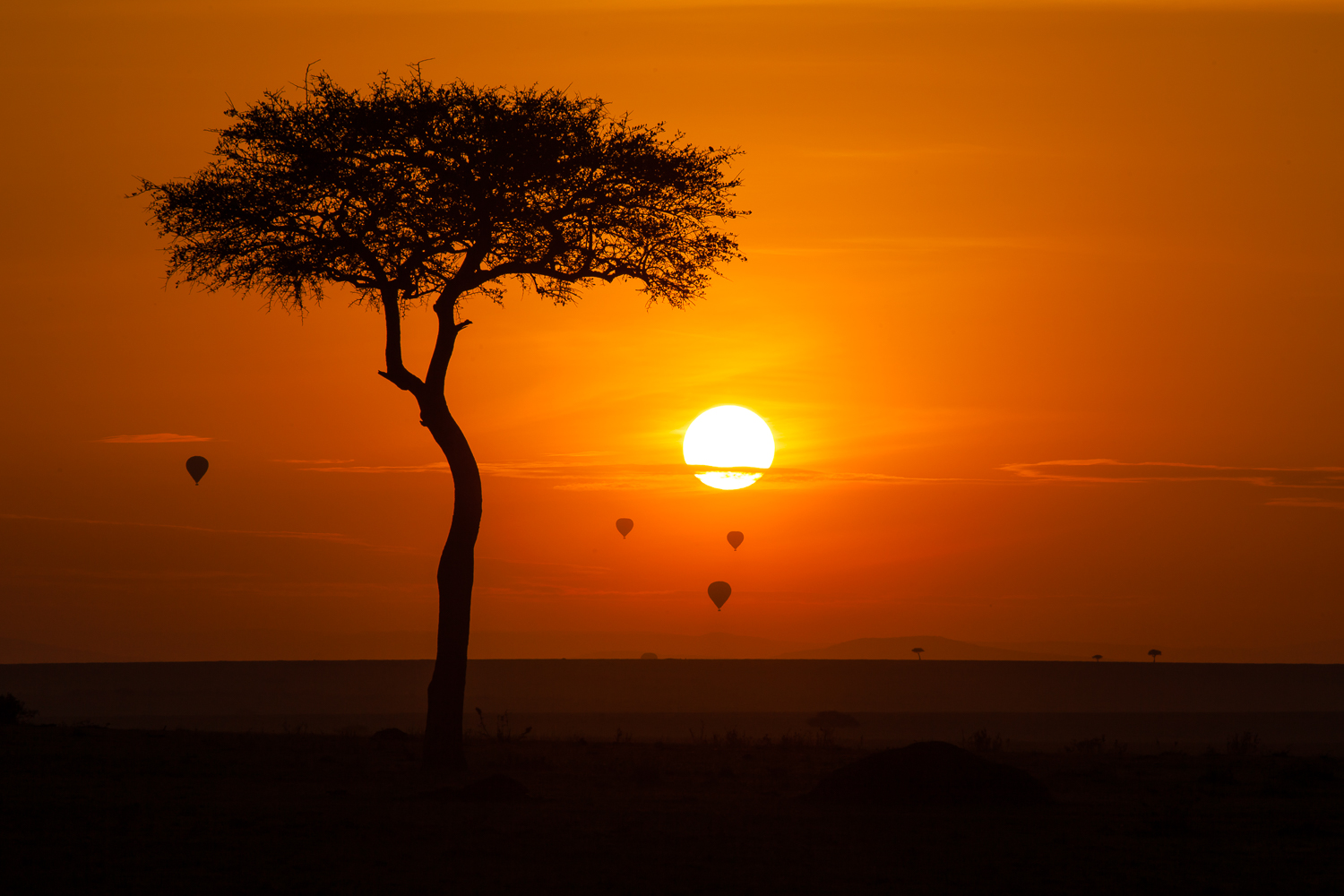 A wildebeest herd crossing the Tanzanian plains at dusk beneath Kilimanjaro's snow-capped peak.