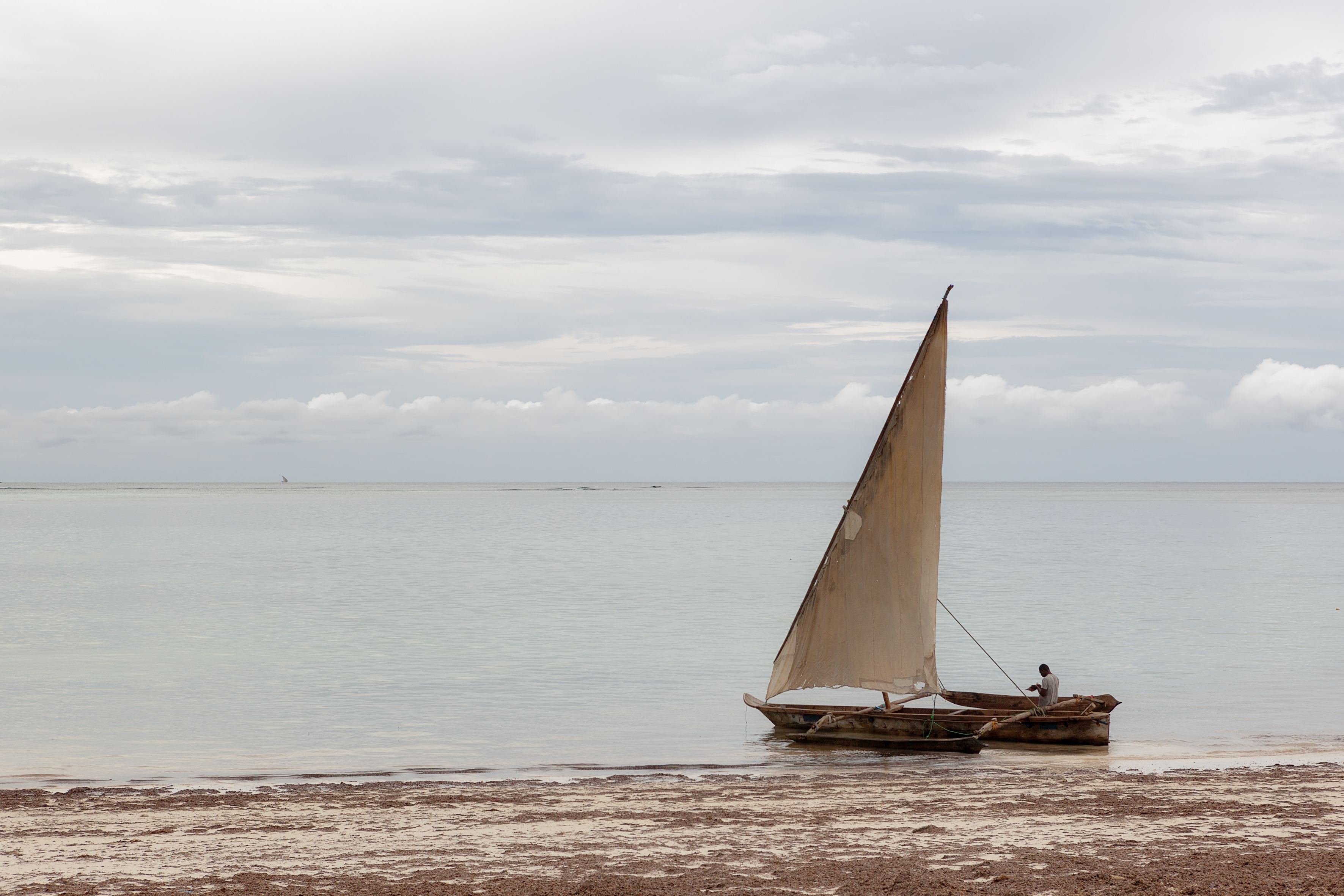 A dhow sailing past palm-lined coastline on the Indian Ocean at sunset.