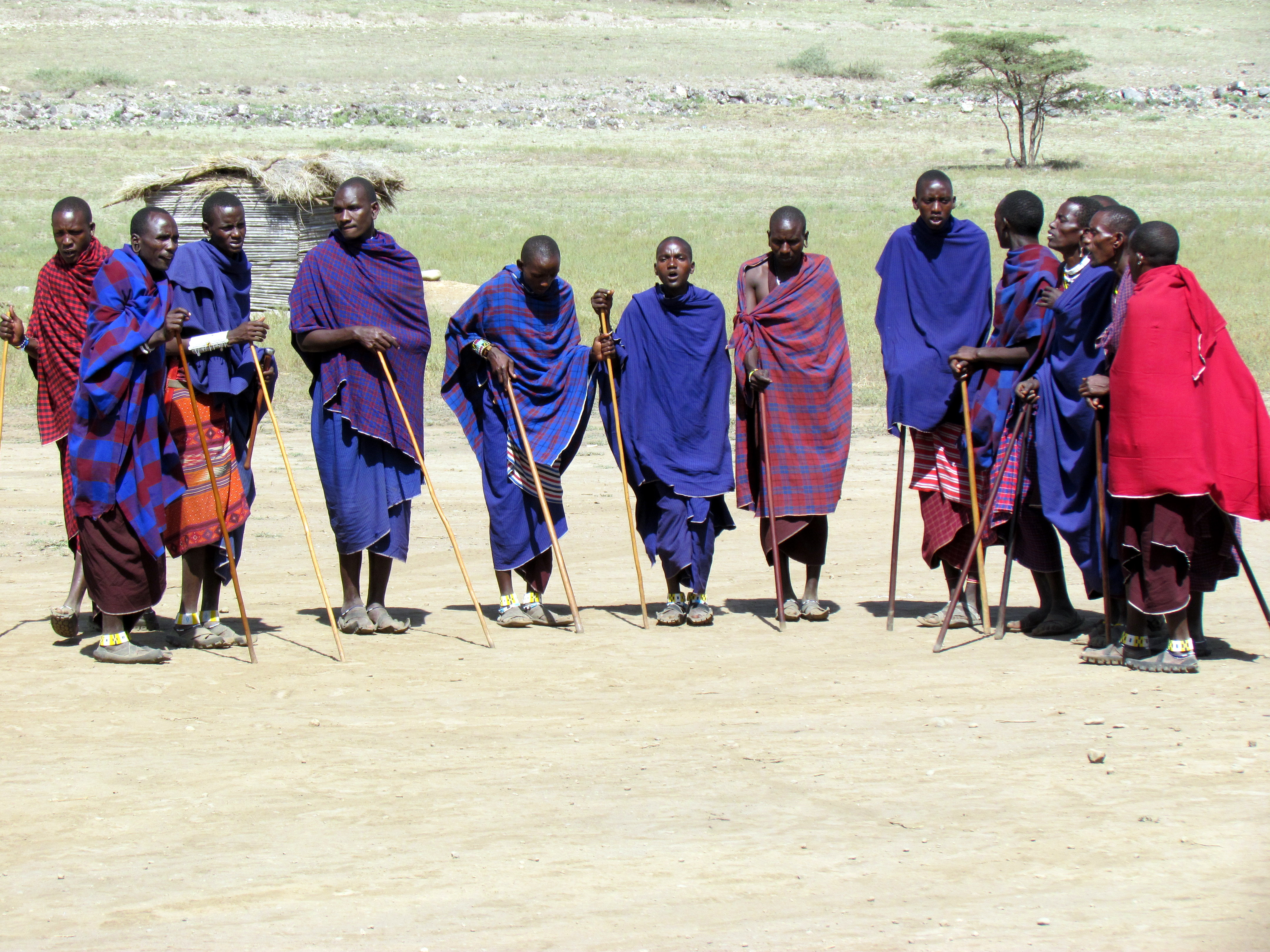 Figures gathered at dusk on the savannah beneath an acacia tree.