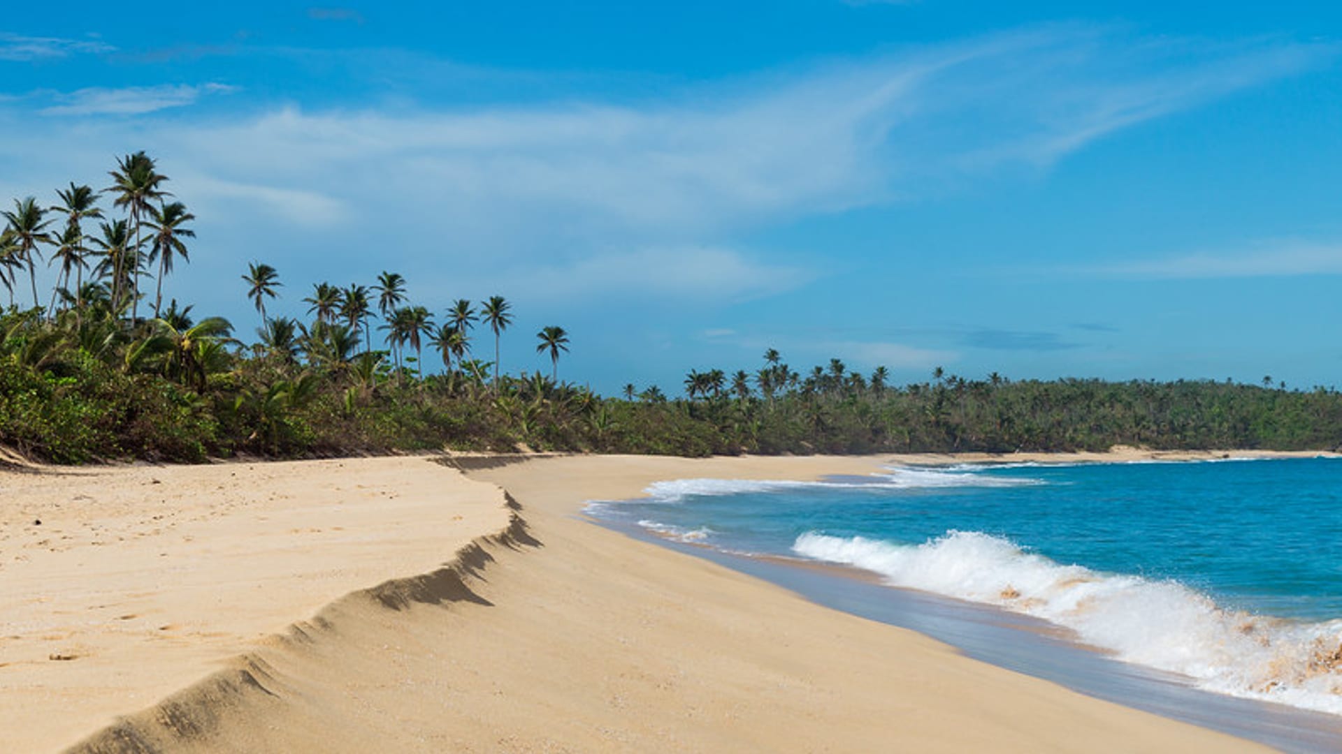 Palm-fringed white-sand beach meeting turquoise surf on the Indian Ocean coast.